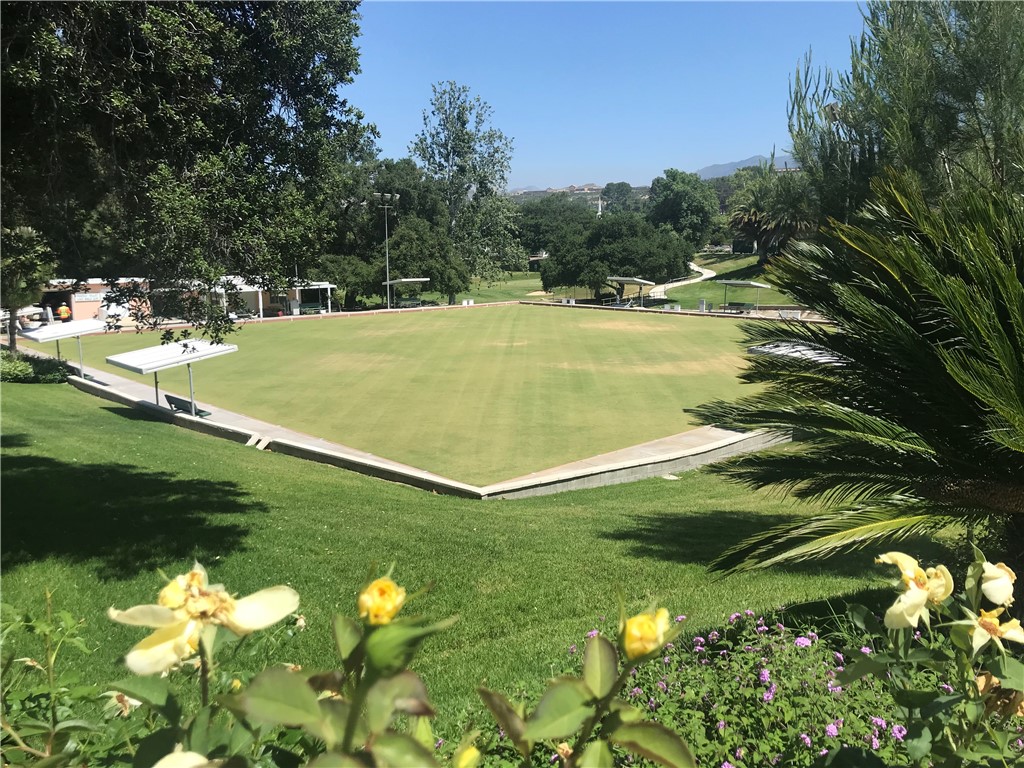 Lawn bowls