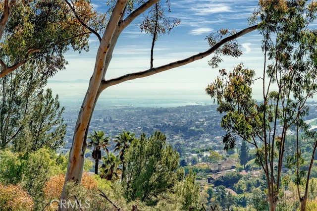 4525 Palos Verdes Drive, Rancho Palos Verdes, California 90275, 3 Bedrooms Bedrooms, ,3 BathroomsBathrooms,Residential,Sold,Palos Verdes,SR22042263