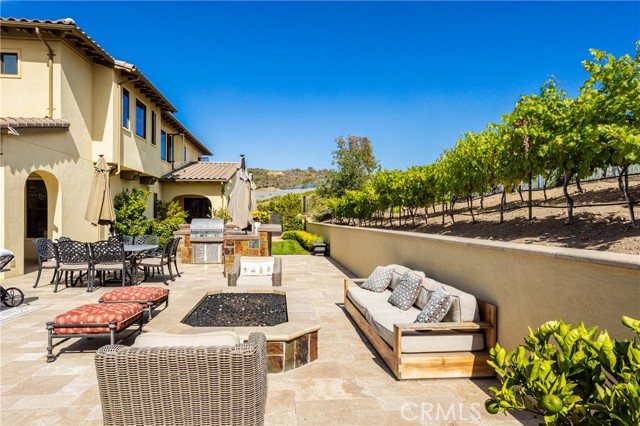 firepit and vineyard