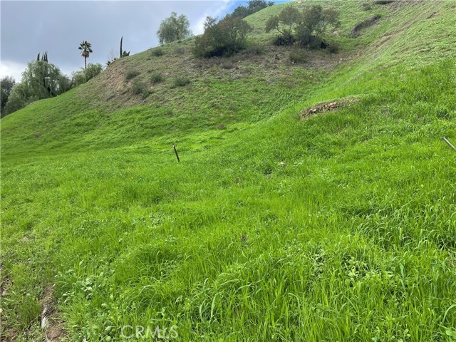 4704 Galendo Street photo 5