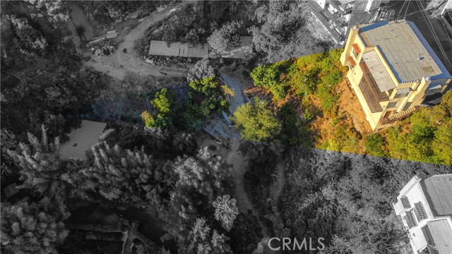 1943 Sunset Plaza Drive photo 20