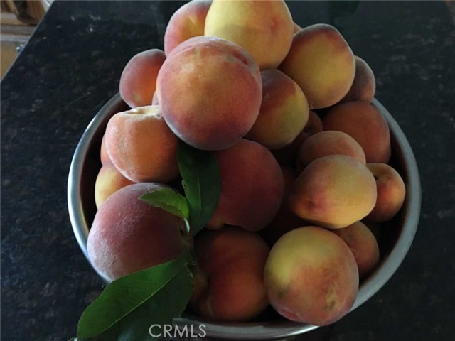 Variety of fresh fruit