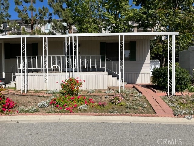 2175 Pavo photo 1