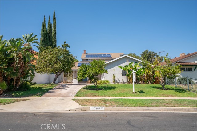 17609 Ludlow Street photo 2