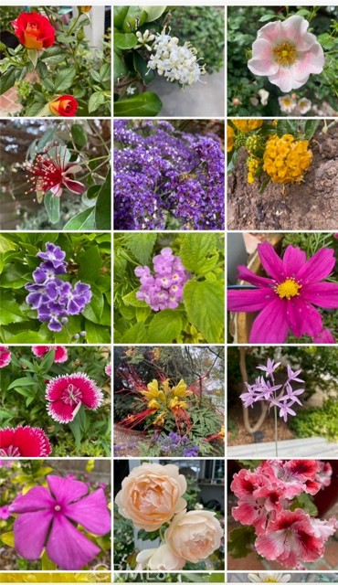 Just a few of the blooming flowers the wall manicured garden provides