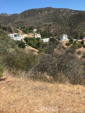 1 Latigo Cyn & Ocean View, Malibu, CA, 90265 1 Latigo Cyn & Ocean View, Malibu, CA, 90265