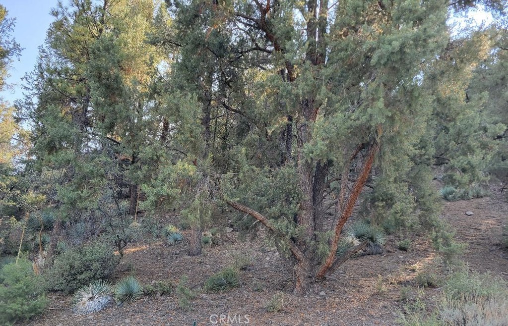 1800 Matterhorn Drive, Pine Mountain Club, CA 93222