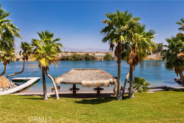 View from backyard patio.