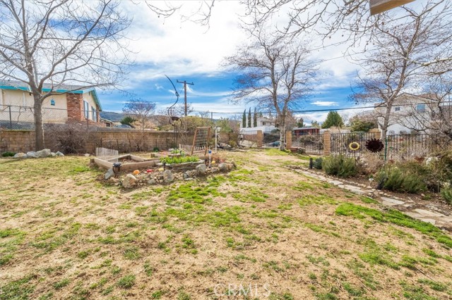 Large Fenced yard