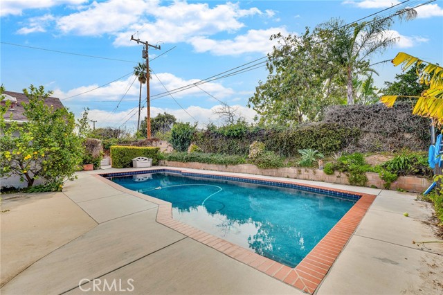 Beautiful swimming pool.