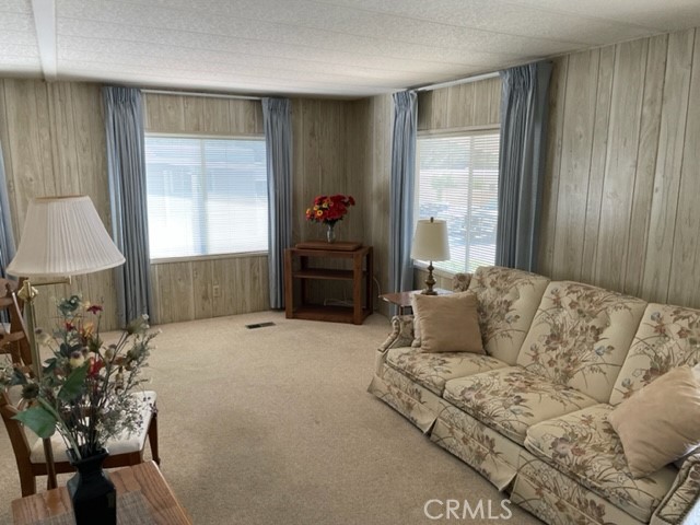 2175 Pavo photo 6