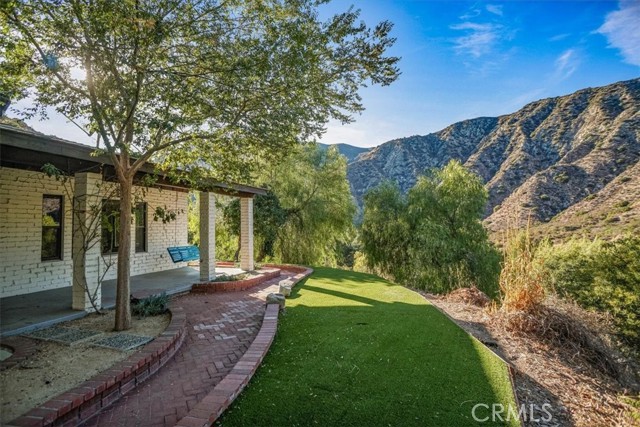 4142 Big Tujunga Canyon Road photo 6
