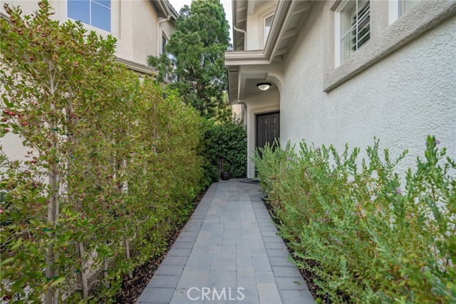 2885 Blazing Star Drive photo 8