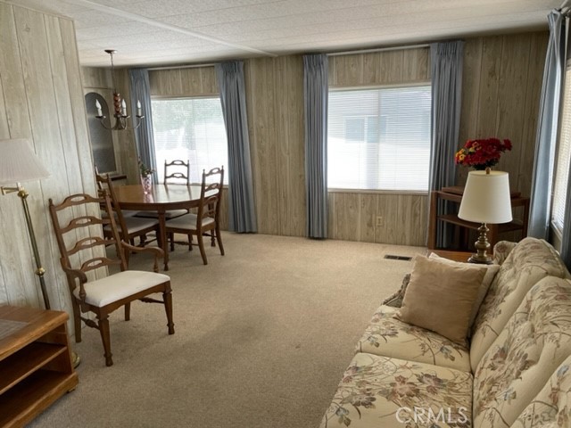 2175 Pavo photo 3