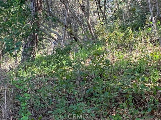 Detail Gallery Image 4 of 7 For 0 Vacant Lot, Topanga,  CA 90290 - – Beds | – Baths
