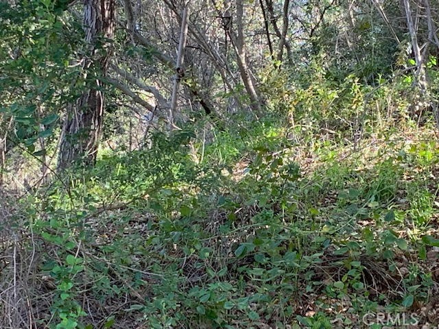 Detail Gallery Image 4 of 7 For 0 Vacant Lot, Topanga,  CA 90290 - – Beds | – Baths