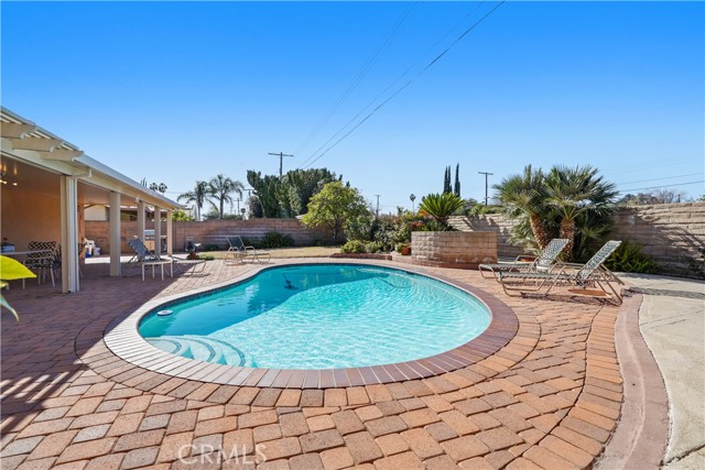 Pool Surrounded by Concrete Pavers