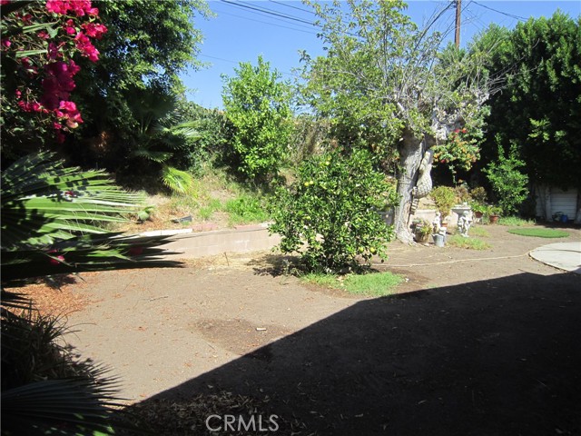 16557 Bircher Street photo 3