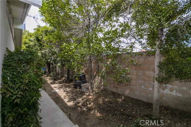 Side yard area with fruit trees