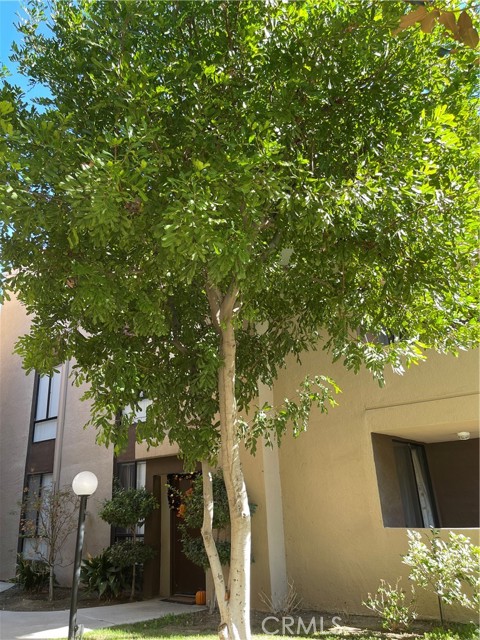 7826 Topanga Canyon Boulevard, 323 photo 4