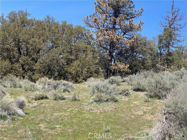 25301 Paramount Drive, Tehachapi, CA, 93561 25301 Paramount Drive, Tehachapi, CA, 93561