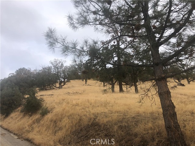 0 Matterhorn, Tehachapi, California 93561, ,Land,For Sale,0 Matterhorn,CRSR23065161