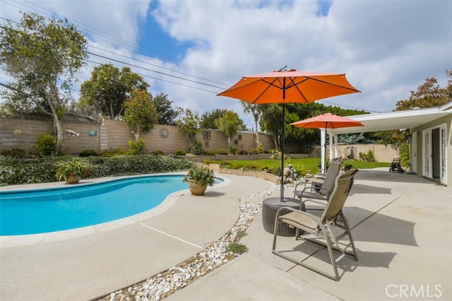 Pool and Patio