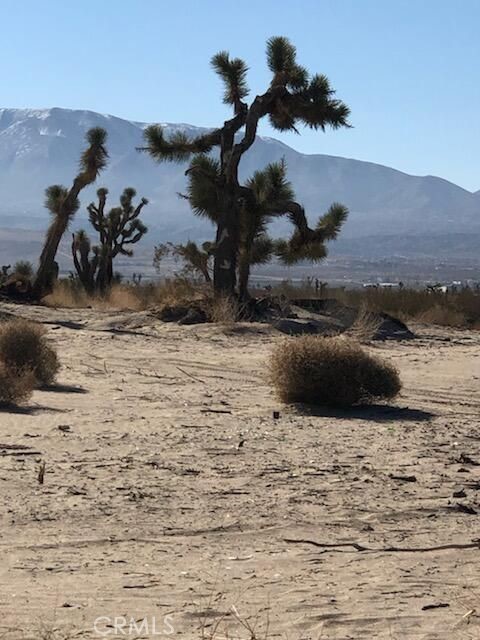 0 Vac/Cor 125th Ste/125th Ste, Juniper Hills, CA 93543