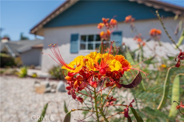 10937 Goss Street photo 3