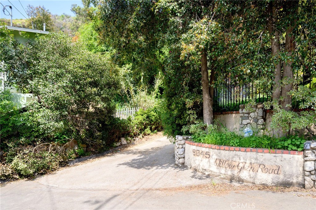 Driveway from Street