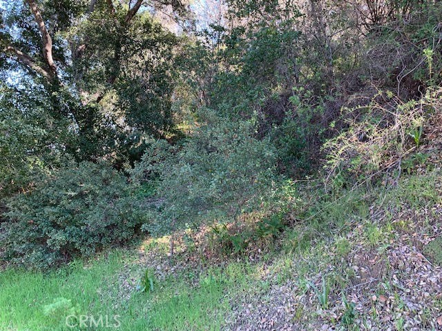 Detail Gallery Image 3 of 7 For 0 Vacant Lot, Topanga,  CA 90290 - – Beds | – Baths