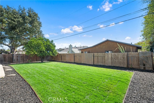 Large grassy yard