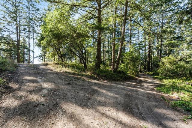 200 S Ranch Road, Pescadero CA: https://media.crmls.org/mediaz/000a25cf-70e4-4a84-a38f-3cfb9ff1b842.jpg