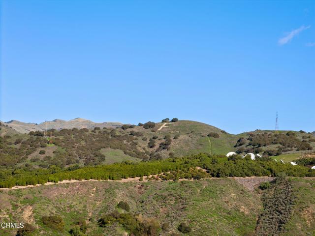 Detail Gallery Image 50 of 58 For 390 Rose St, Fillmore,  CA 93015 - 3 Beds | 2/1 Baths