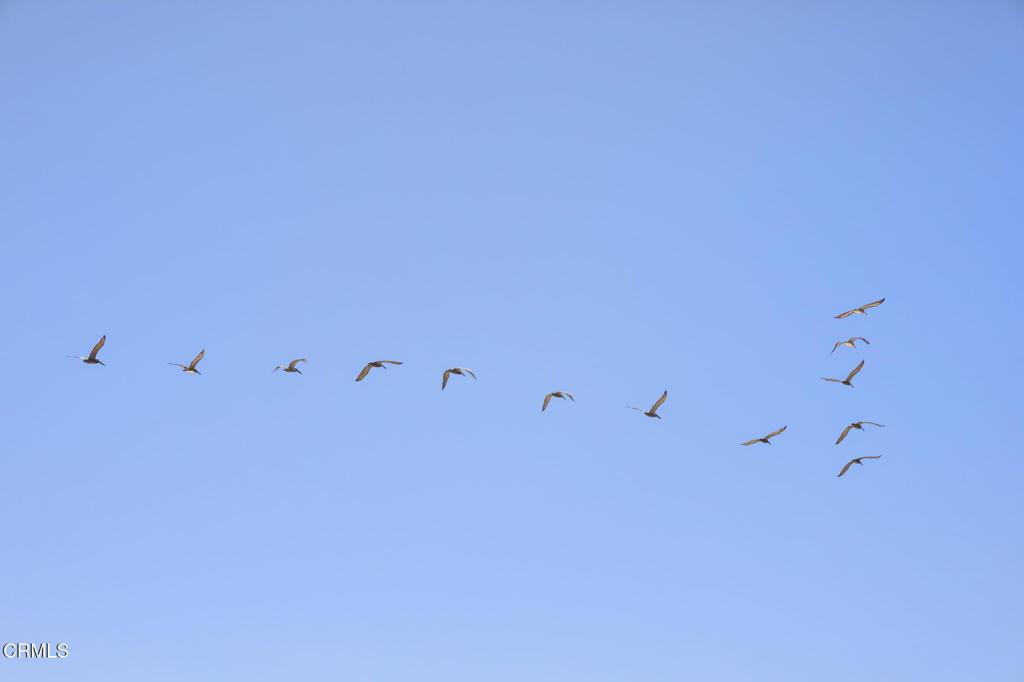 https://media.crmls.org/mediaz/0012e152-d533-4cf1-9ec0-2e4d2b9dfdb5.jpg?preset=X-Large