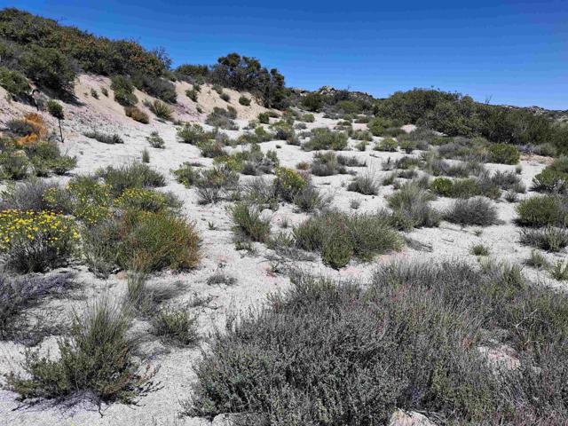 36151 Old Wilson Road, Ranchita CA: https://media.crmls.org/mediaz/0014bb08-b4c7-4757-9ba6-492969c835d4.jpg