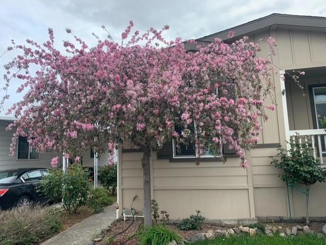 63 Mulberry Court