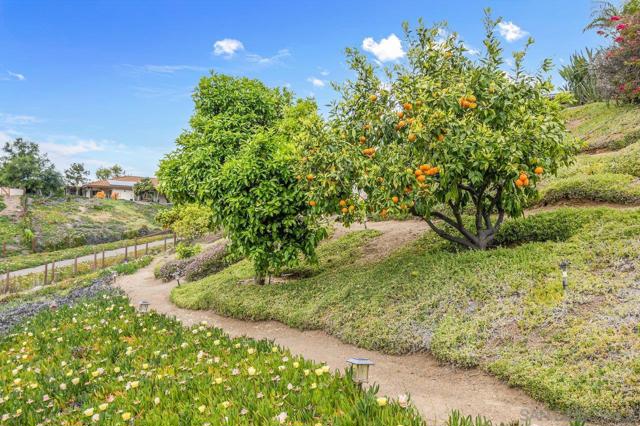 3609 Monte Real, Escondido CA: https://media.crmls.org/mediaz/0022e3ae-bf20-41b3-bfd4-0fa9ddbb2b78.jpg