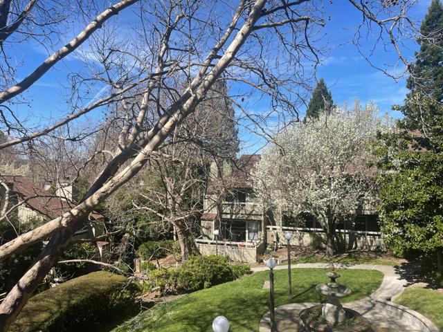 111 Bean Creek Road, Scotts Valley CA: https://media.crmls.org/mediaz/00250473-2751-4c10-a064-c7c0953dfcd1.jpg
