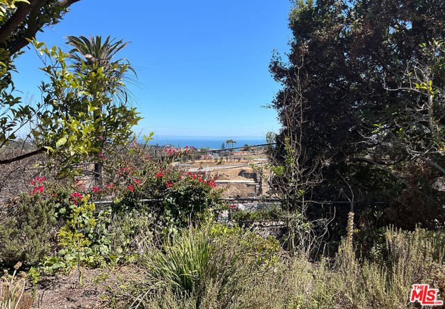 16541 Akron Street, Pacific Palisades CA: https://media.crmls.org/mediaz/00308402-7b37-450c-90ff-87fd8f538121.jpg