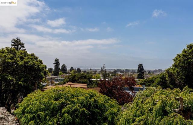 636 Vincente Ave, Berkeley CA: https://media.crmls.org/mediaz/003221f6-c418-45d9-9253-b8e938337253.jpg