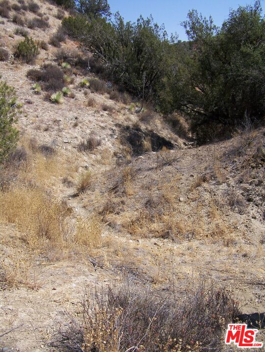 0 Apn 147-080-005, New Cuyama CA: https://media.crmls.org/mediaz/003cbe87-6170-4d9e-a1e8-7bda14d30687.jpg