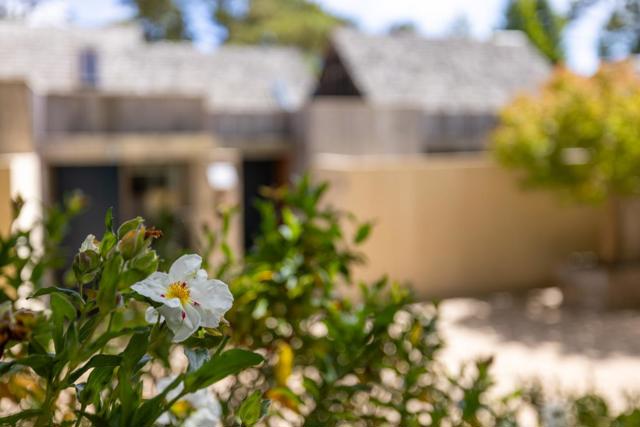 24520 Outlook Drive, Carmel CA: https://media.crmls.org/mediaz/003e9263-8836-481b-b288-406d6096fc64.jpg