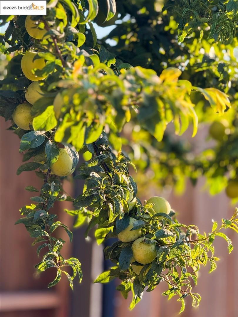 https://media.crmls.org/mediaz/004337af-6105-475f-b7f8-ae4c94a93b2a.jpg?preset=X-Large