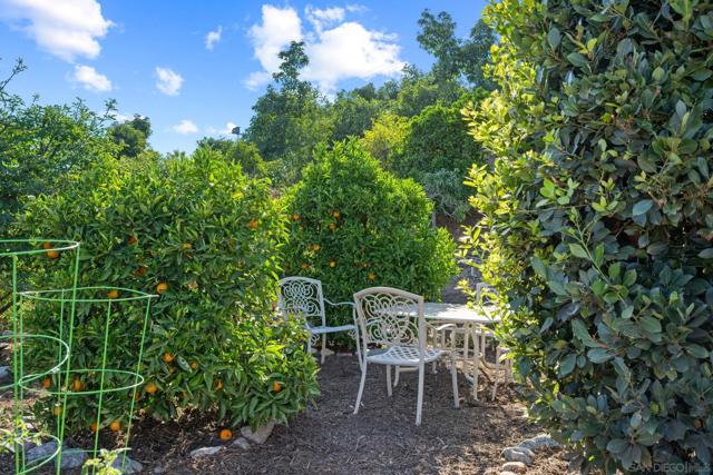5354 El Camino Del Norte, Rancho Santa Fe CA: https://media.crmls.org/mediaz/00492800-2eac-42b5-8a00-63e6ae0ad242.jpg