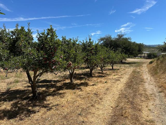 0 Sans Road, Corralitos CA: https://media.crmls.org/mediaz/00497593-481d-4503-893b-26f288272d1b.jpg