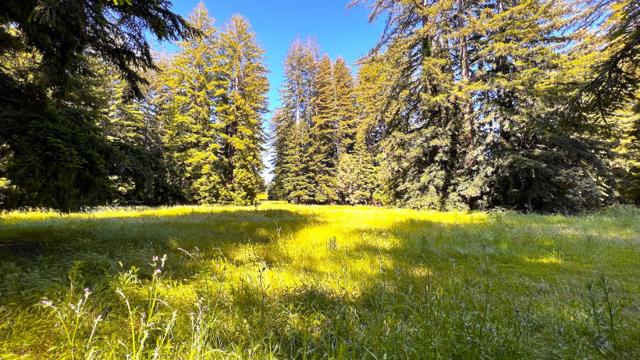 3675 Bonny Doon Road, Santa Cruz CA: https://media.crmls.org/mediaz/00525791-d6d1-484e-98a2-859501036df8.jpg