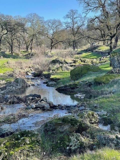 0 Avacado Road, Oroville CA: https://media.crmls.org/mediaz/00569bc1-68ee-4ce6-afd1-72892cda2ae5.jpg