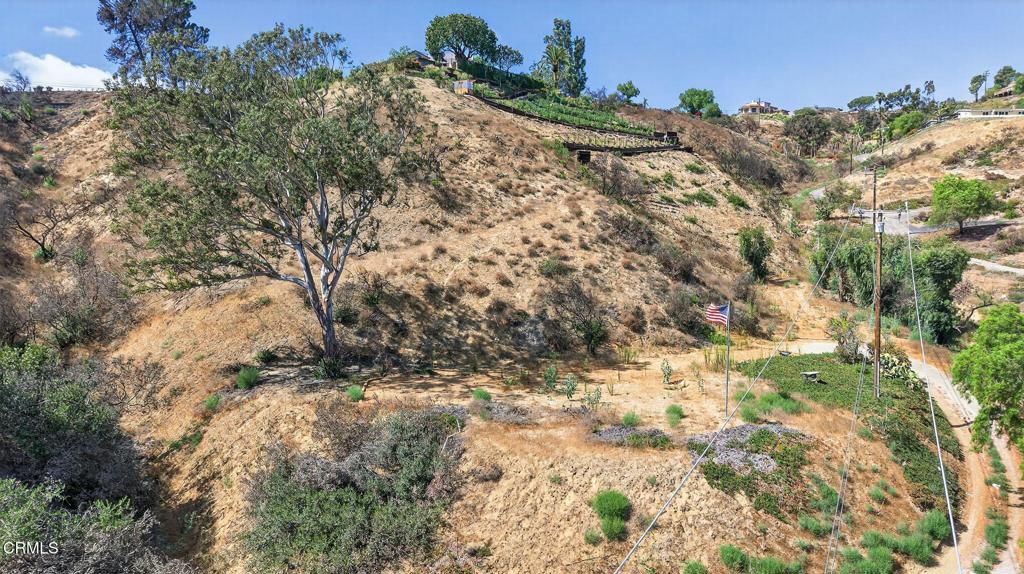 MLS #V1-32289 image #32