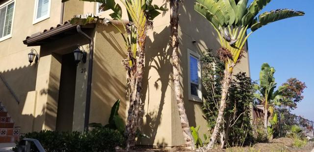 Image 2 of 23 For 2236 Antonio  20